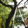 Fiskars SmartFit™ Telescopic Lopper L86 - Image 3