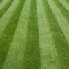 Cobra RM46SPH 18" Petrol Roller-Drive Lawnmower - Image 4
