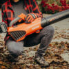 Echo DPB-310 Battery Powered Leaf Blower Kit - Image 3