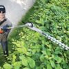 Echo HCA-265ES-HD Long Reach Hedge Trimmer - Image 3