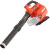 Echo DPB-600 56V Blower Body Only - Image 2