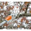 Stihl HTA 50 Cordless Pole Pruner Set (Body Only) - Image 2